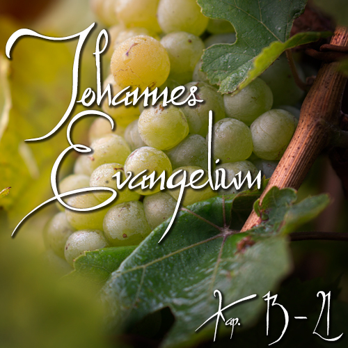 Johannes Evangelium